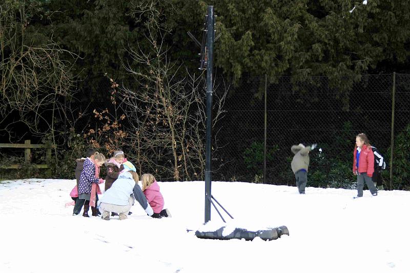 Snowy_Weather_Feb_09 (16)